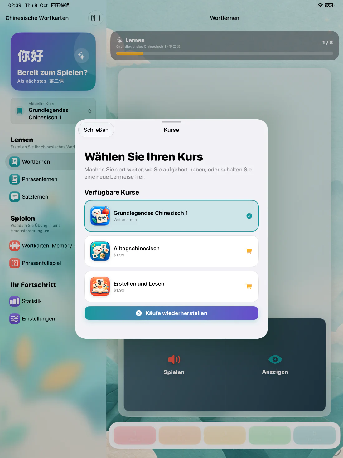 Chinesische Wortkarten auf dem iPad